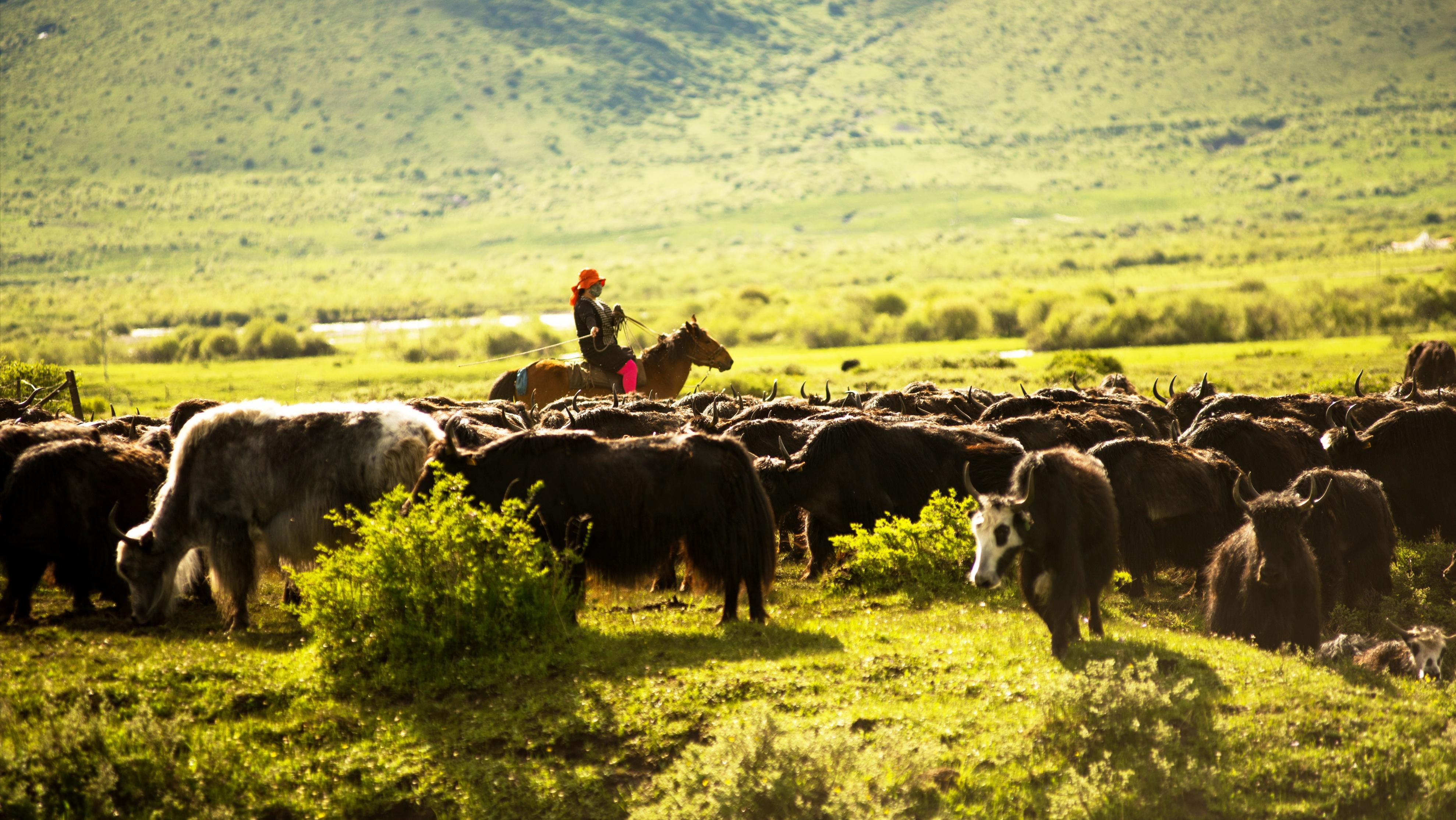 五一进山亲子游推荐,带孩子踏青野外体验生活