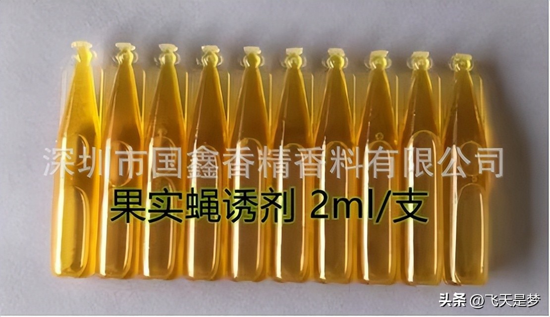 你的柑园布防果蝇未？