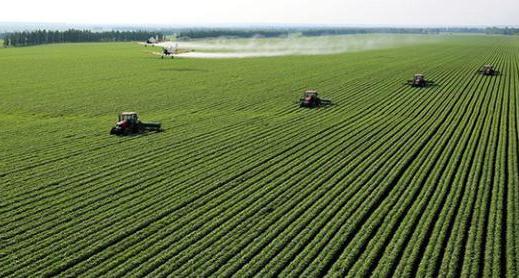 如何通过政策支持农业可持续发展,农业可持续性发展的理论与实践