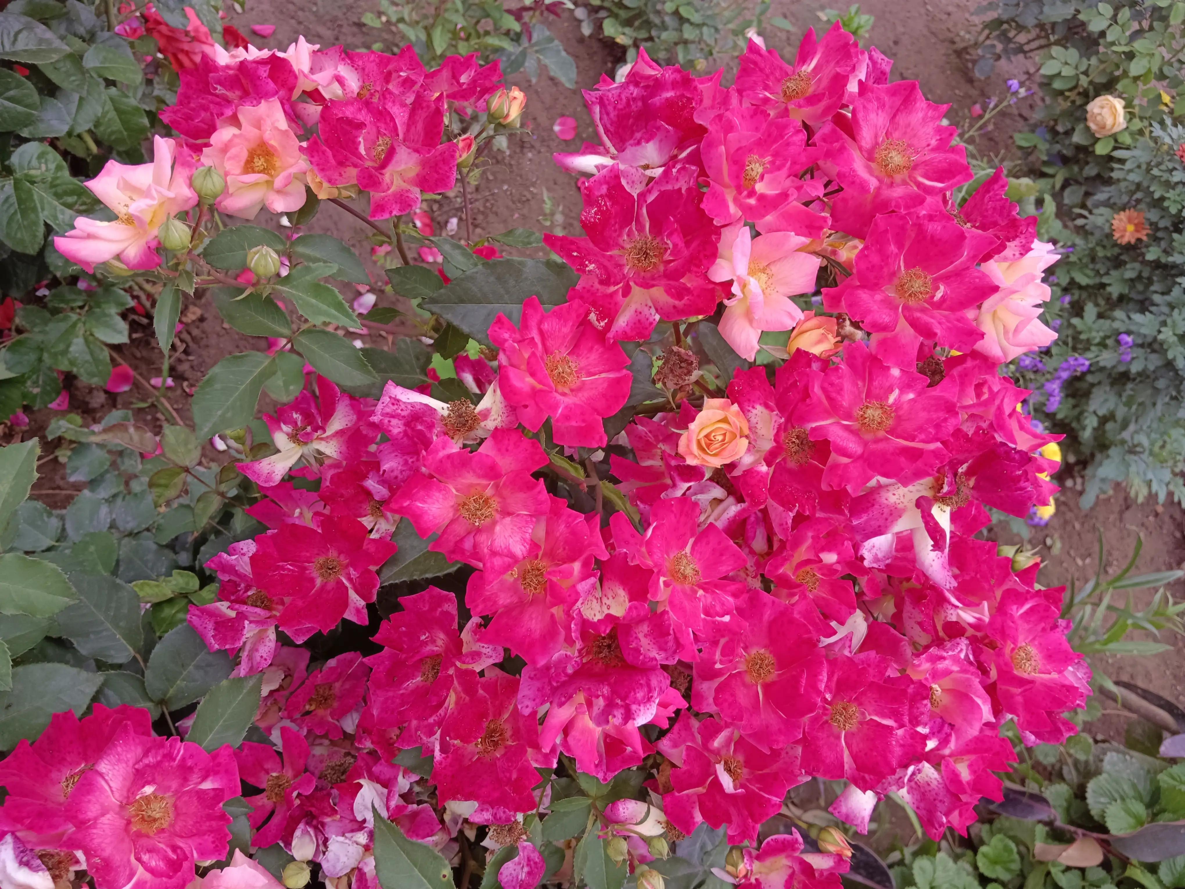 横扫千军之“君”字篇