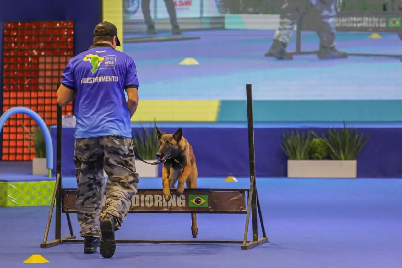 圣保罗赛事,圣保罗州足球锦标赛