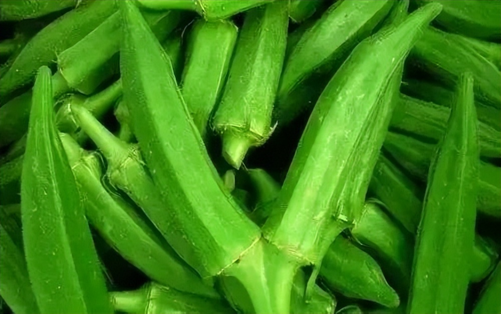 人参食补补肾,吃人参可以补肾虚吗