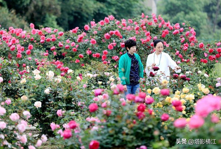 2021我的难忘记忆,我的2020高考独家记忆