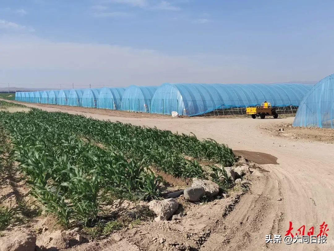 社区帮助居民家门口就业,推荐群众家门口就业