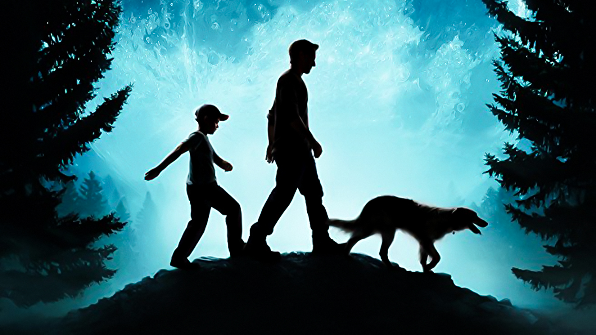 近两年好莱坞动画片排行榜,2023下半年好莱坞动漫电影