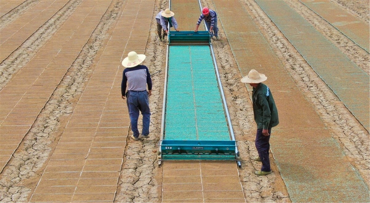 澳洲gti项目官方历年数据解析,澳洲gti需要什么条件