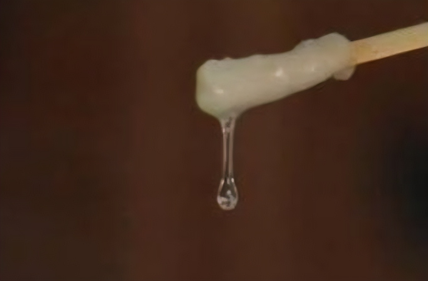 备孕须知怎么计算我的排卵期,备孕期间如何判断排卵期到了