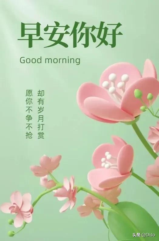 早安每一个清晨都是希望的开始,早安每个早晨都是全新一天的开始