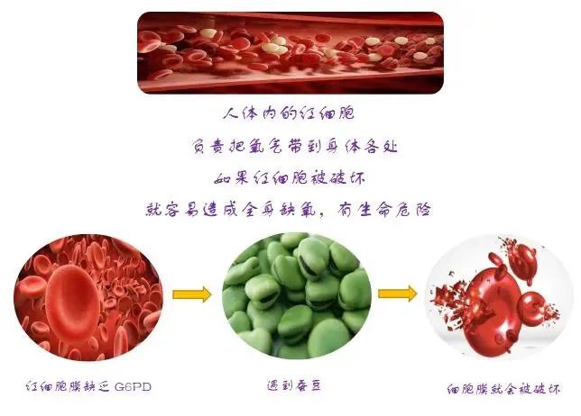 一颗糖引发的惨案,一颗螺丝钉引起的惨案