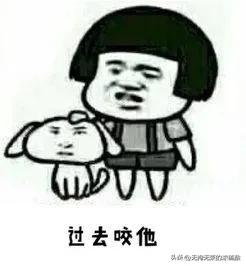 2022搞笑谐音梗大盘点,2022网络流行语谐音梗搞笑视频