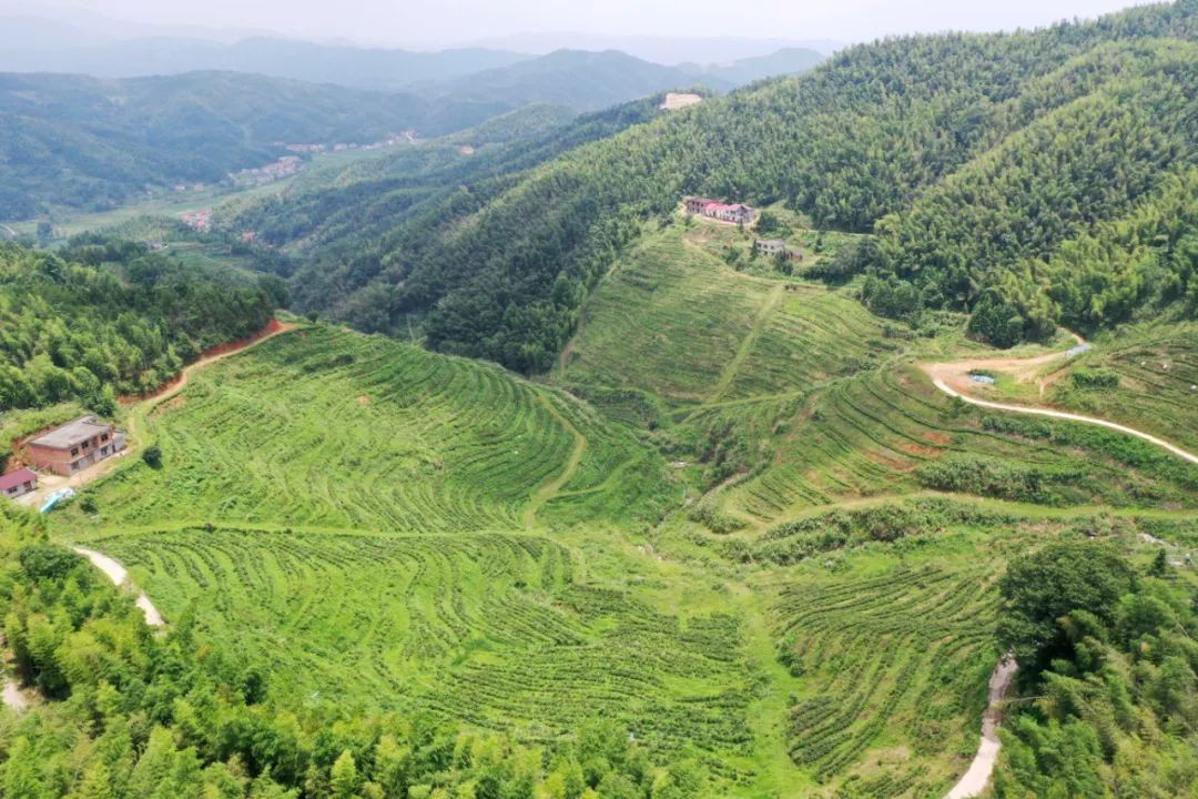 非凡十年高质量发展迈出坚定步伐,非凡十年中国成就