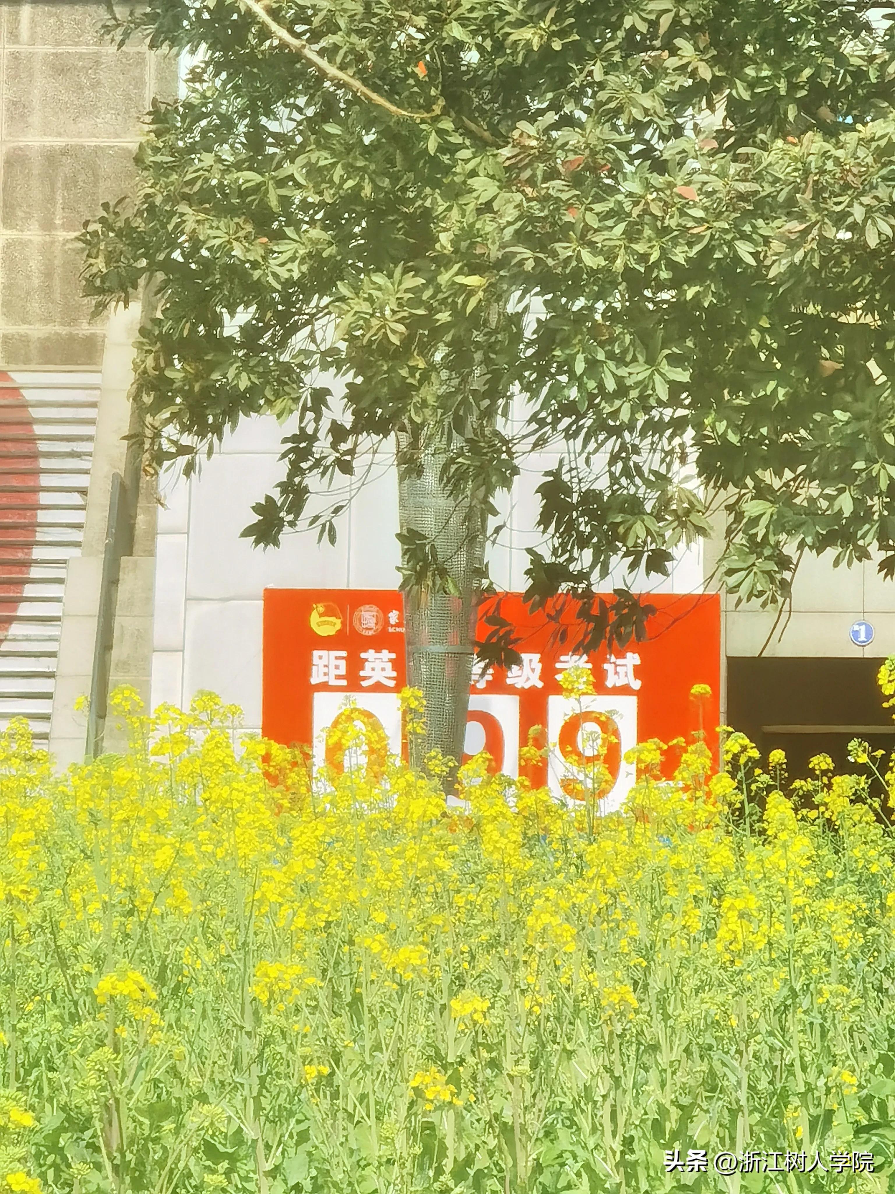 欢迎报考浙江师范大学行知学院,欢迎报考杭州师大