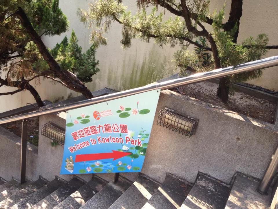 感受香港人文之美好