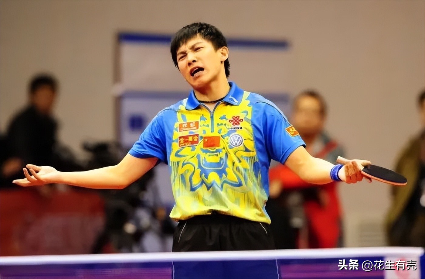 陈玘为什么力挺刘国梁,国乒对杀神陈玘的评价