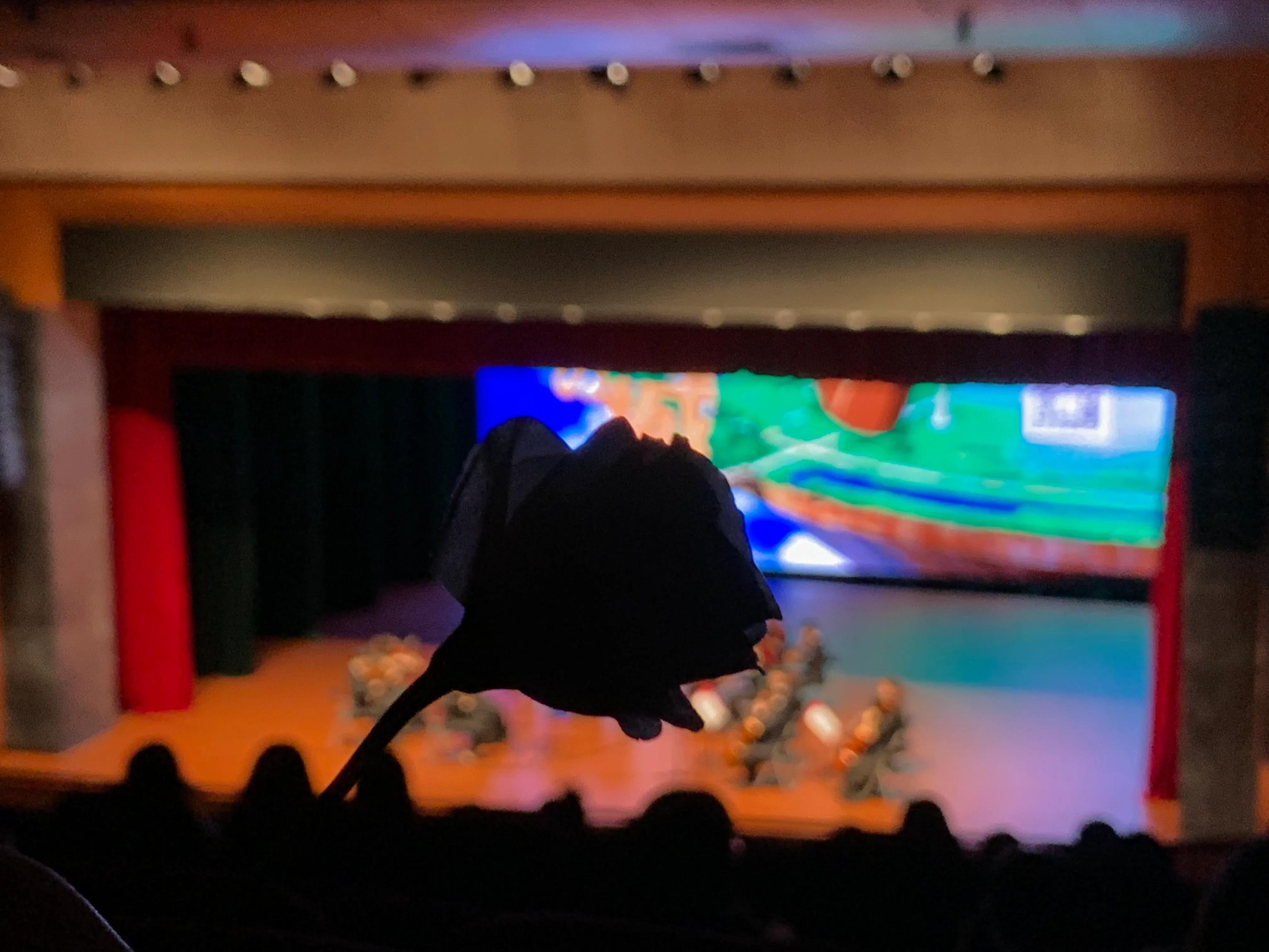 情书600字写给男朋友,写给男朋友的情书带画