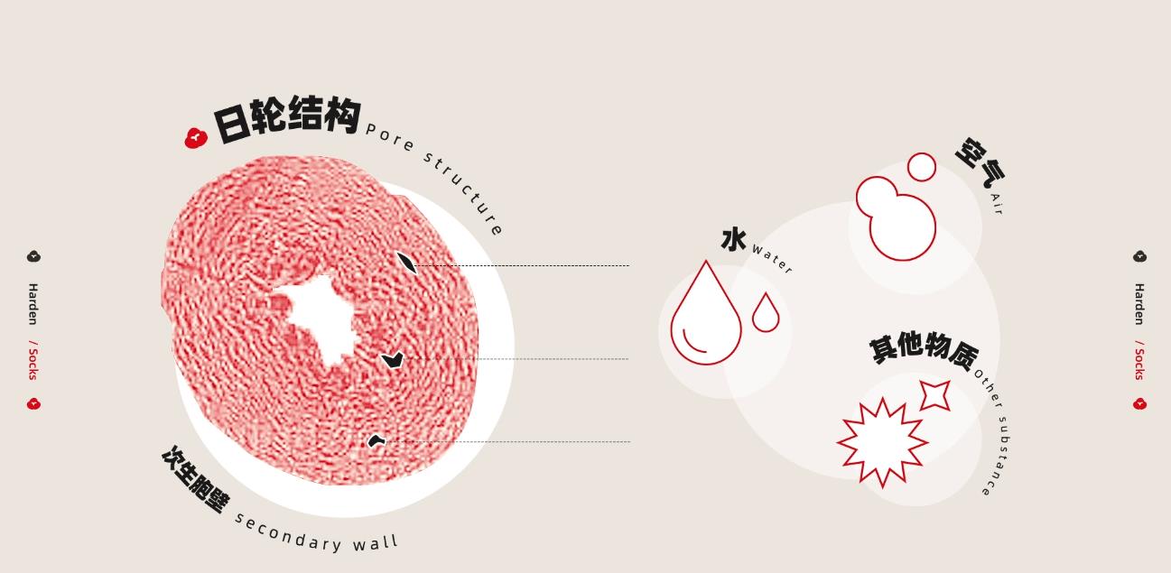 袜子洗了会变黄,袜子洗好晒干后变硬怎么办