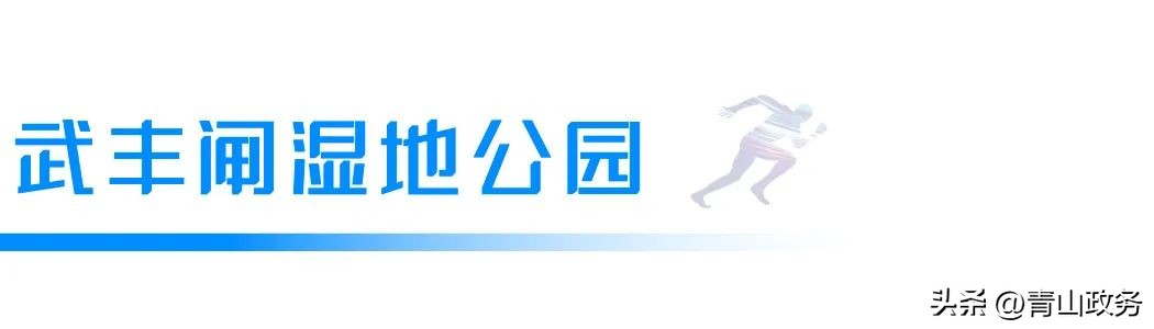 2023青山绿水红钢城半程马拉松,青山马拉松开幕式