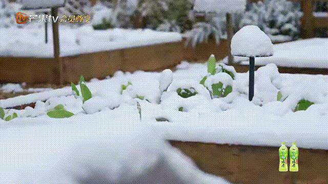 侘寂之美极简入魂温暖人心,真正的侘寂之美