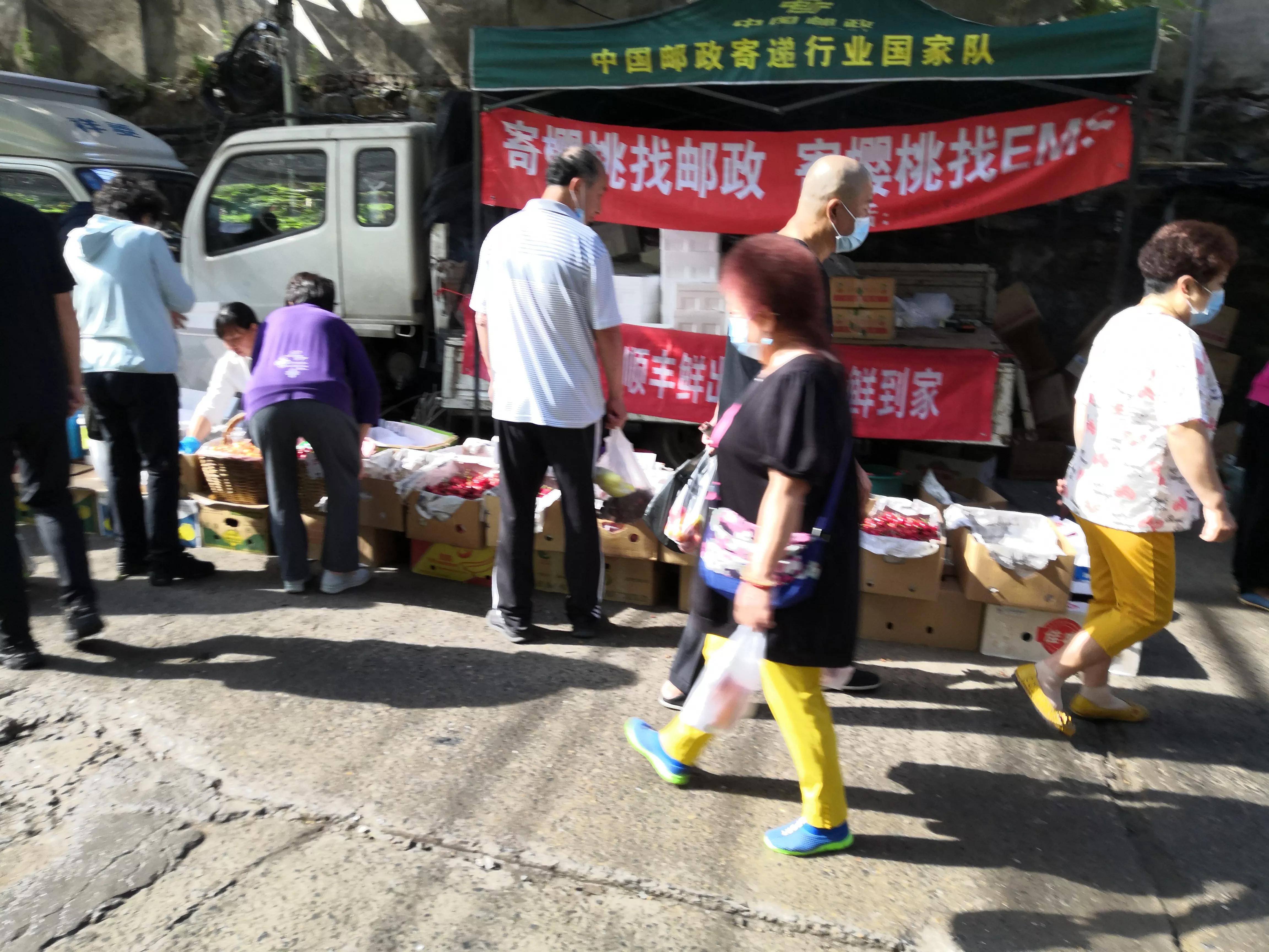 夜来风雨声花落知多少,夜来风雨声花落知多少国画