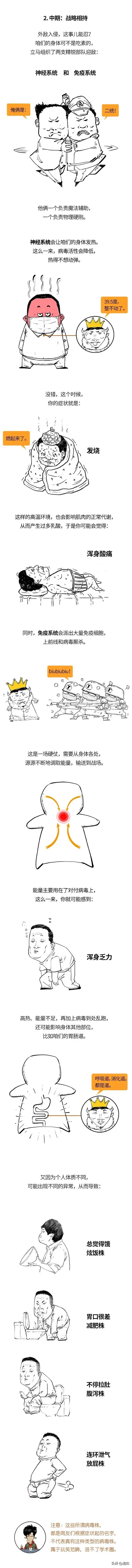 高烧、咳嗽、酸痛、放屁…病毒究竟在你体内祸祸啥？