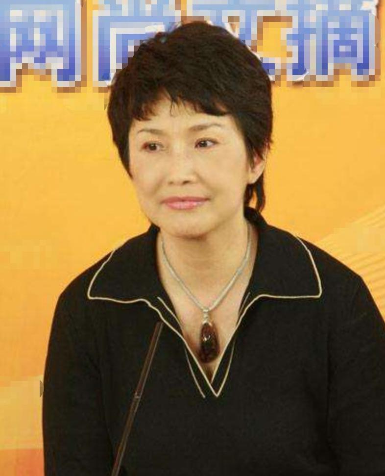 央视女主持人宁辛,主持人宁辛及丈夫近况