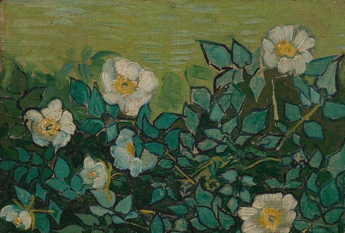 【时光印记】晚清花楼女子30张老照片,丰乳肥臀,仪态万千