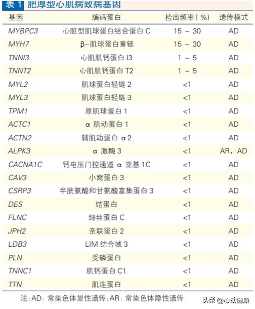 心肌淀粉样变和肥厚型心肌病鉴别,肥厚型心肌病的诊断