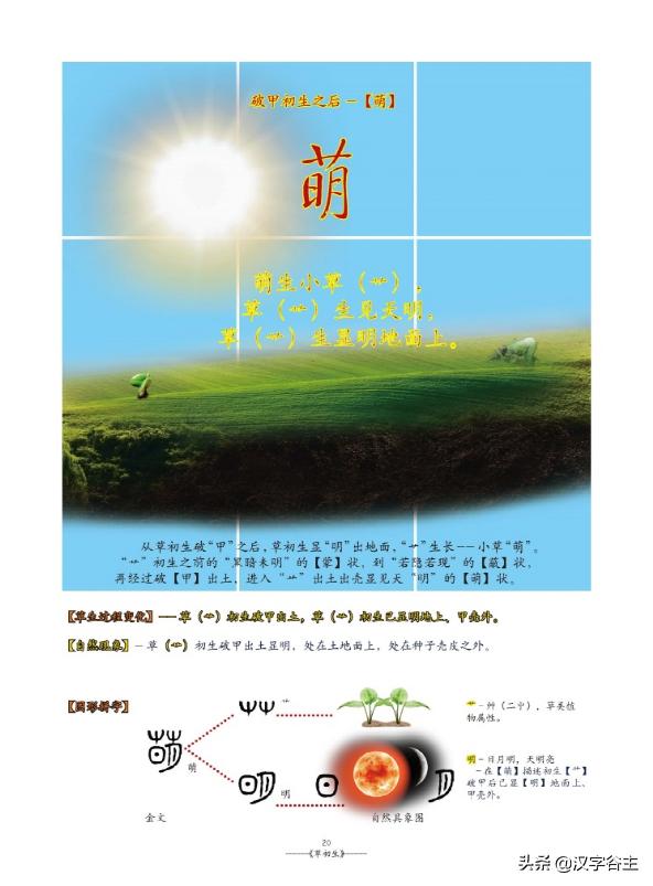 姹夊瓧妞嶇墿,鑽夋湪姹夊瓧