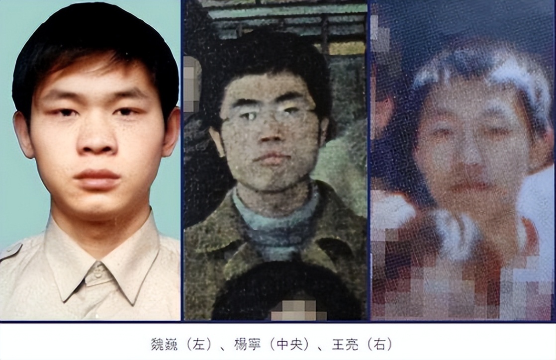 日本魏巍案,日本福冈灭门案王亮判几年