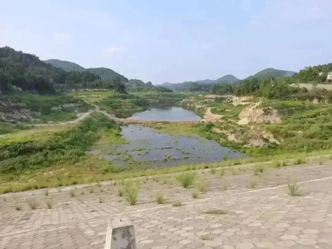 创业计划书格式项目背景,餐厅创业计划书