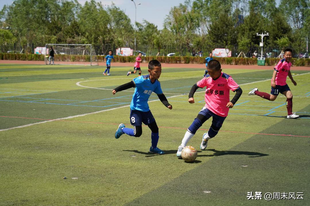 青少年校园足球三级联赛拉开帷幕,校园周末足球联赛策划