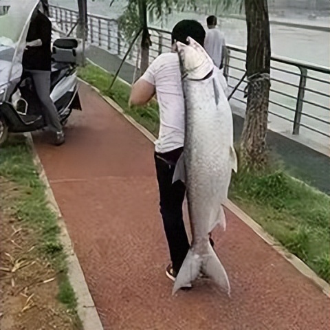 喝茶解压的最佳方式,喝茶就是最好的解压