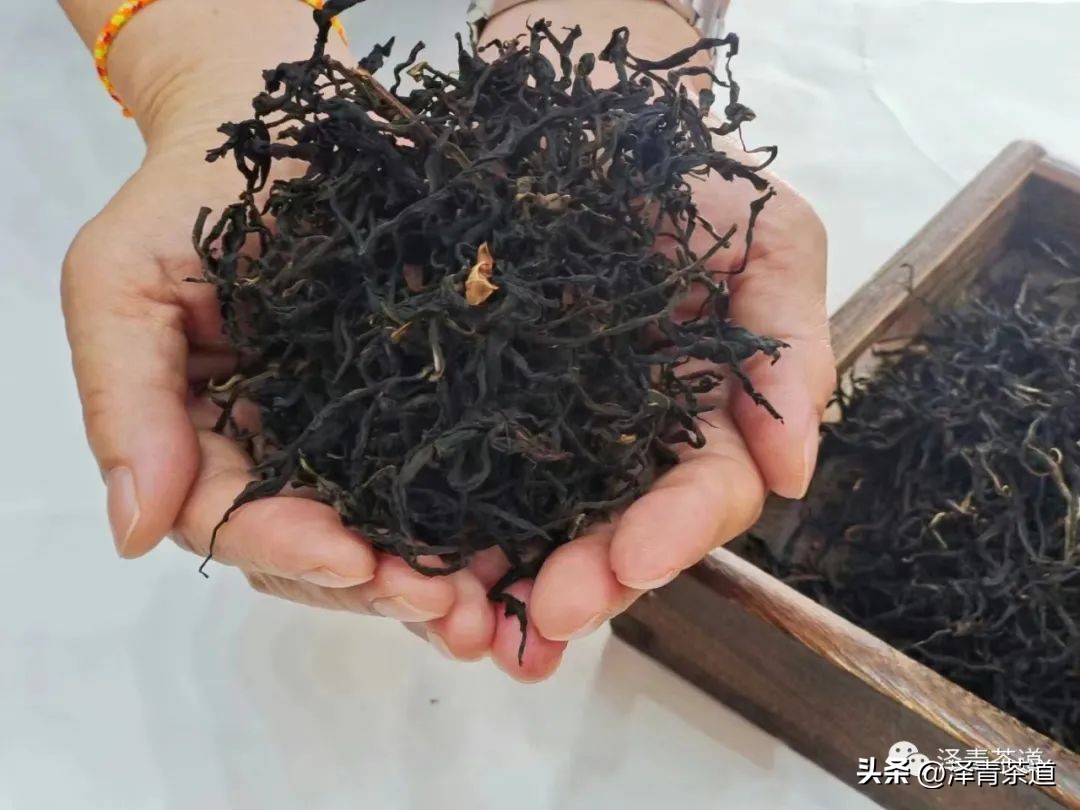 夏至蝉始鸣半夏生全文,夏至蝉始鸣半夏生什么意思