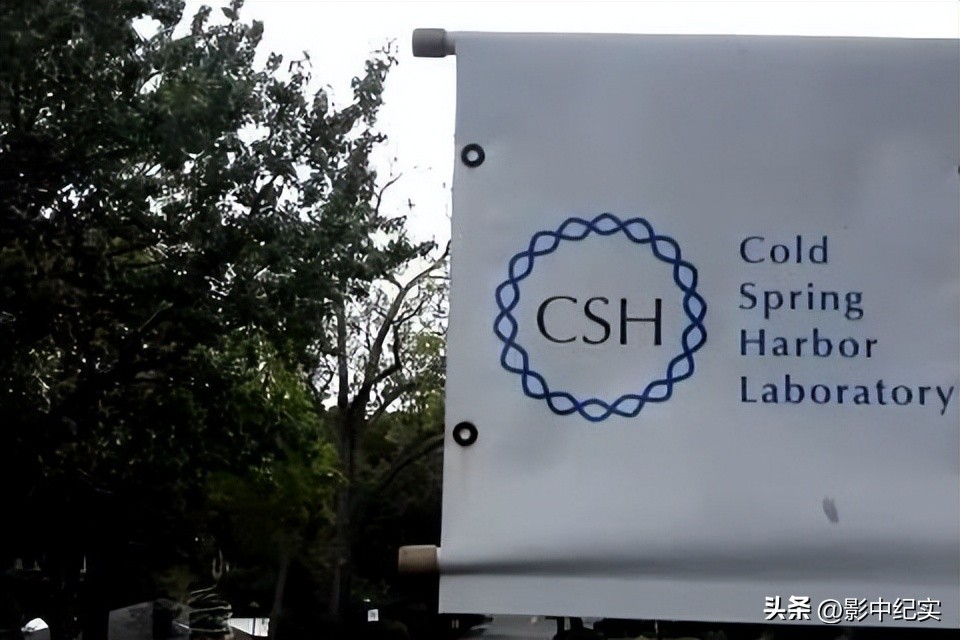 妻子出轨丈夫杀了外甥,外甥出轨舅妈被枪杀怎么判的