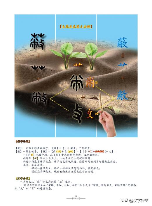 姹夊瓧妞嶇墿,鑽夋湪姹夊瓧