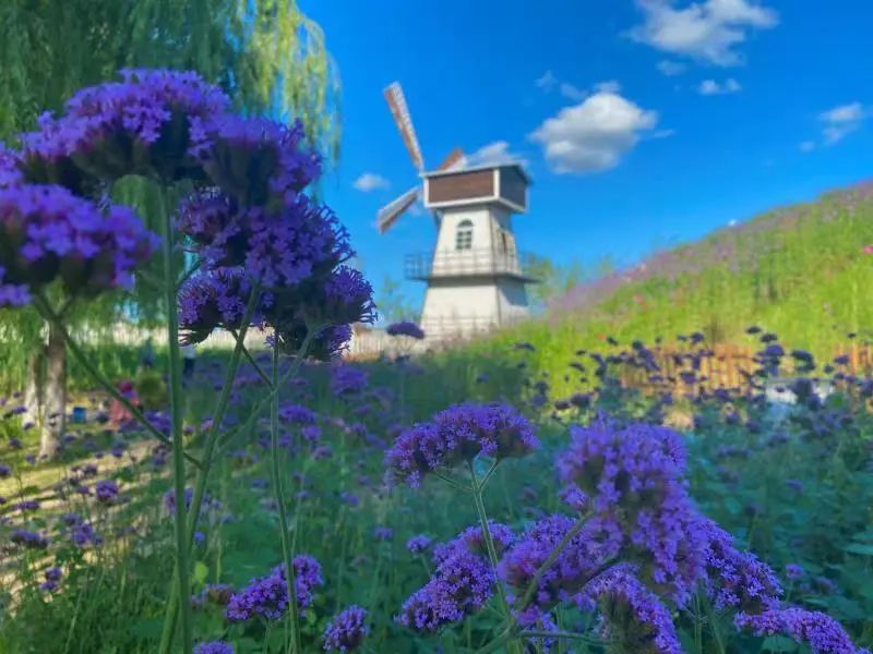 国庆假期秋游鞍山丨鞍山这些亲子游打卡点！家长们赶紧收好备用