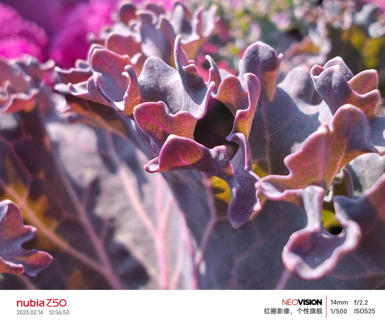 骁龙8Gen2手机值得购买吗,骁龙8gen2手机最新消息