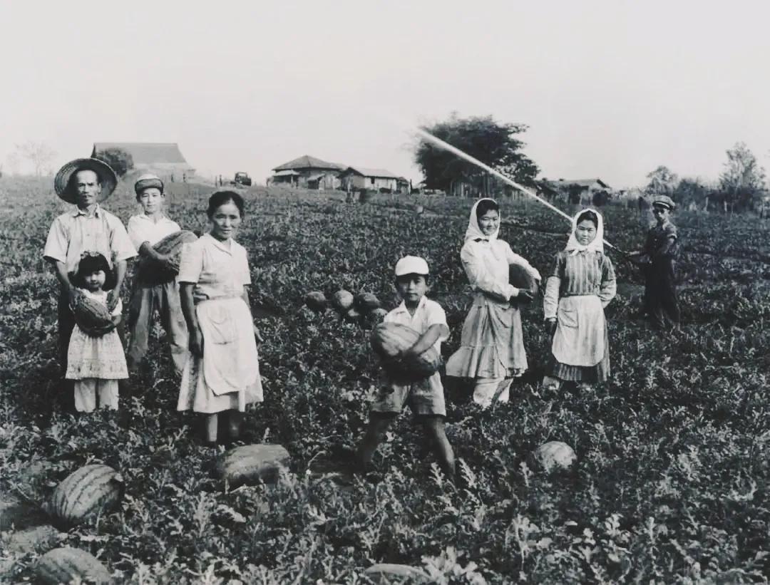 遭遇外来侵略最多的国家,世界上没有被人侵略的国家