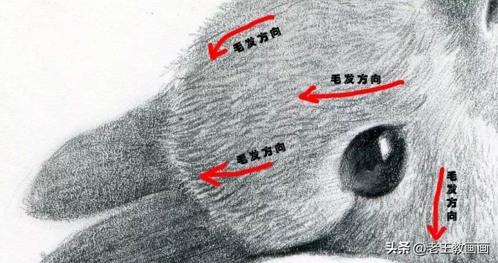 兔年怎么画一个好看的兔子,兔年到了怎么画一只兔子