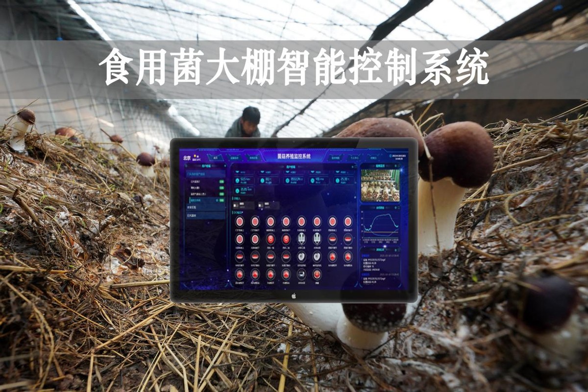 食用菌大棚控温系统,智能大棚智能监控系统