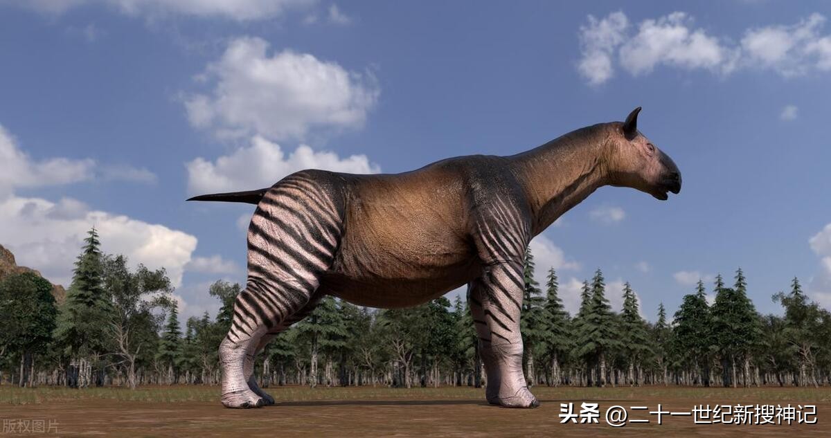 所有神兽代表什么象征意义,十二神兽寓意与象征