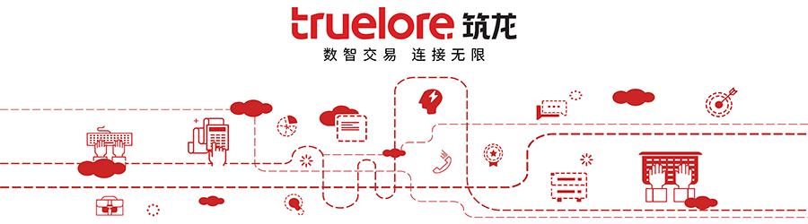 北京筑龙科技股份有限公司,北京筑龙科技有限公司