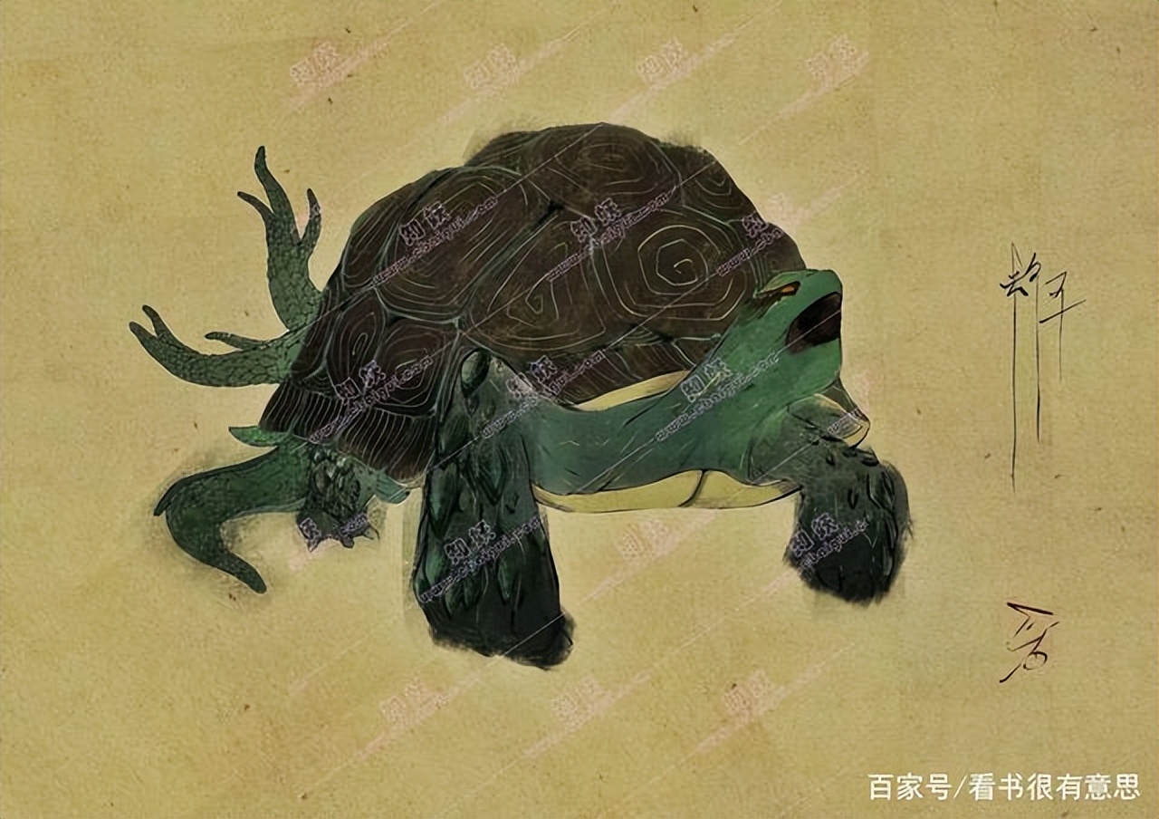 妖怪名单500集,妖怪名单第51集完整版