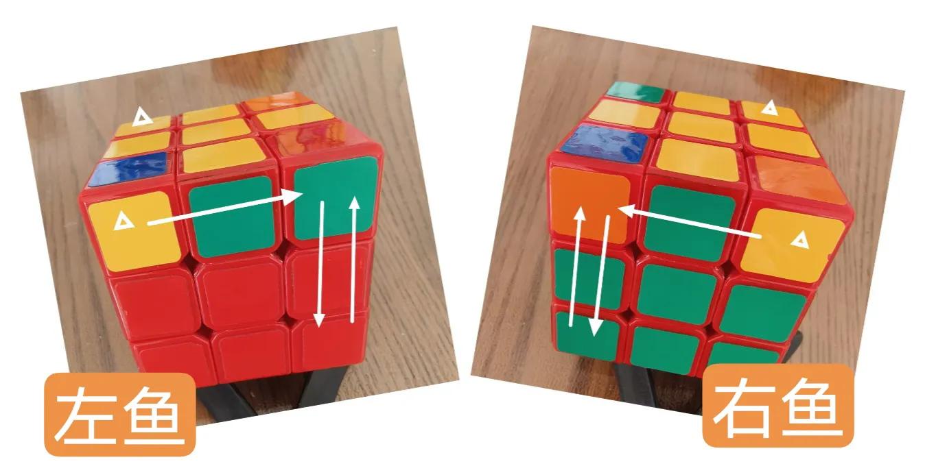 小鱼公式还原魔方四阶,三阶魔方左小鱼和右小鱼公式