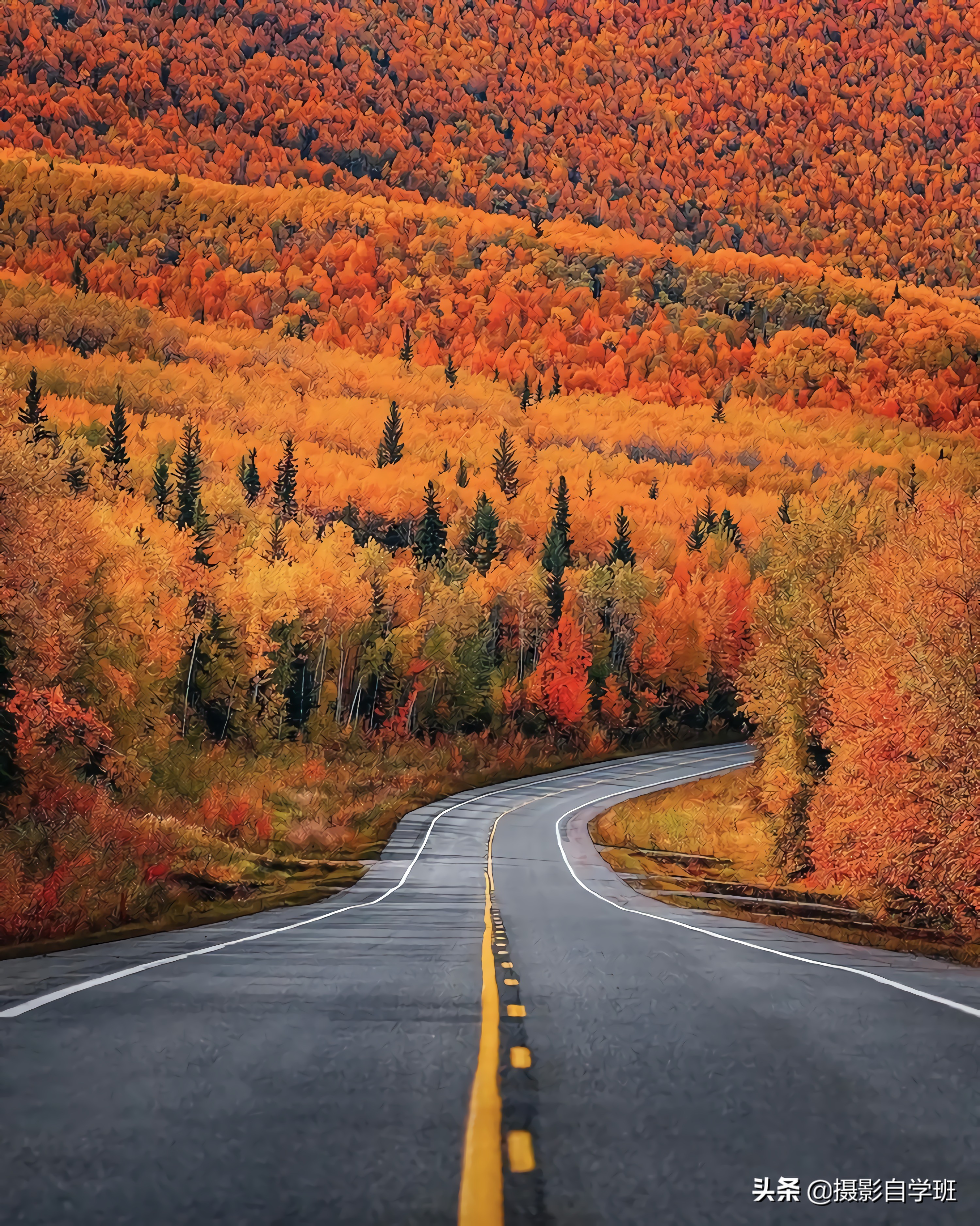 普通人学摄影的真实感受,普通人学摄影一个月