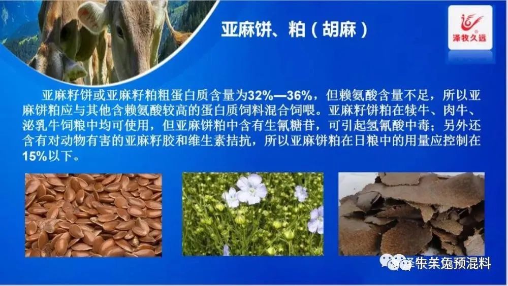 豆粕暴涨严重影响养猪业,豆粕疯涨能用什么替代