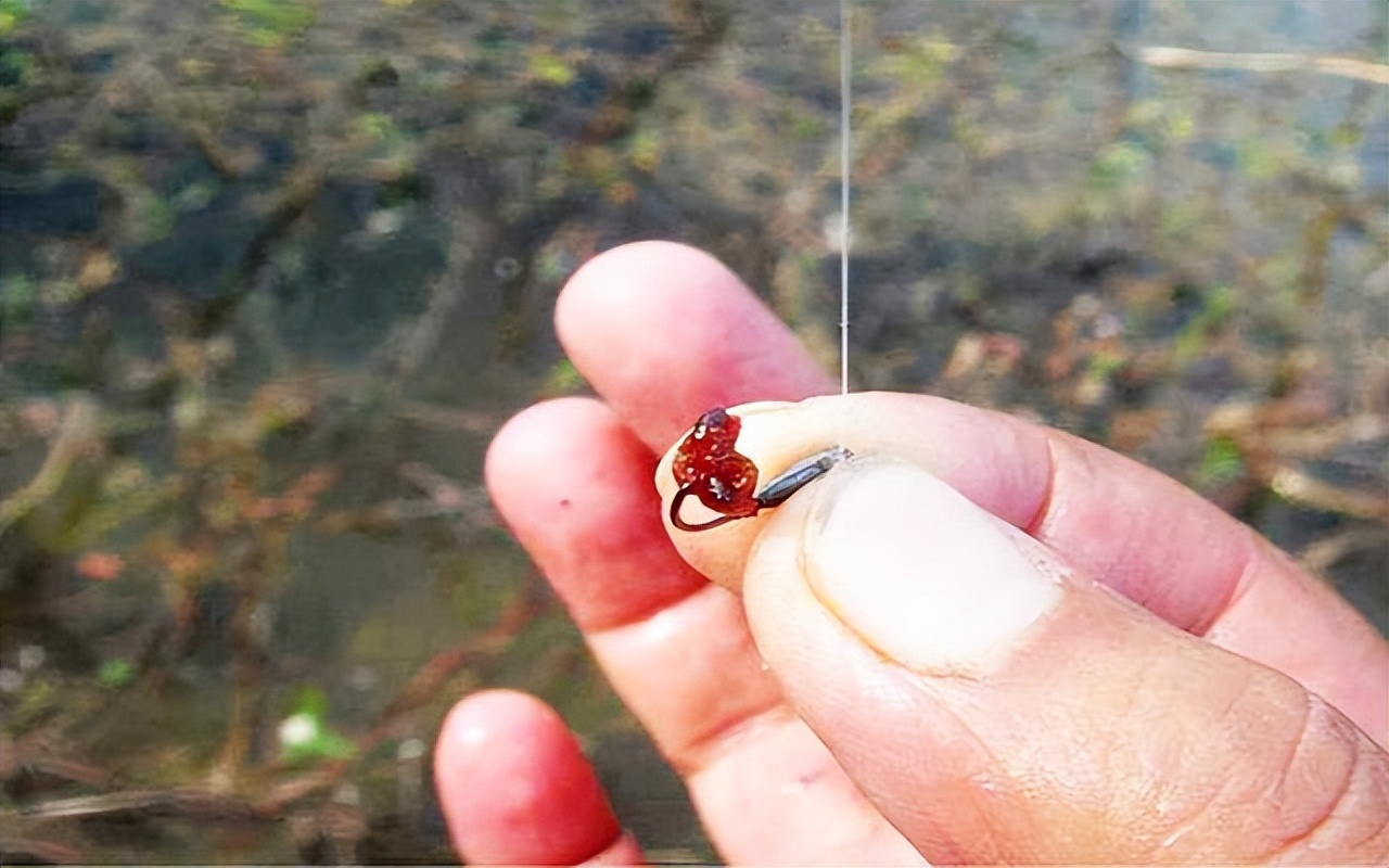 春季钓鲫鱼调漂的正确方法与技巧,春季垂钓技巧