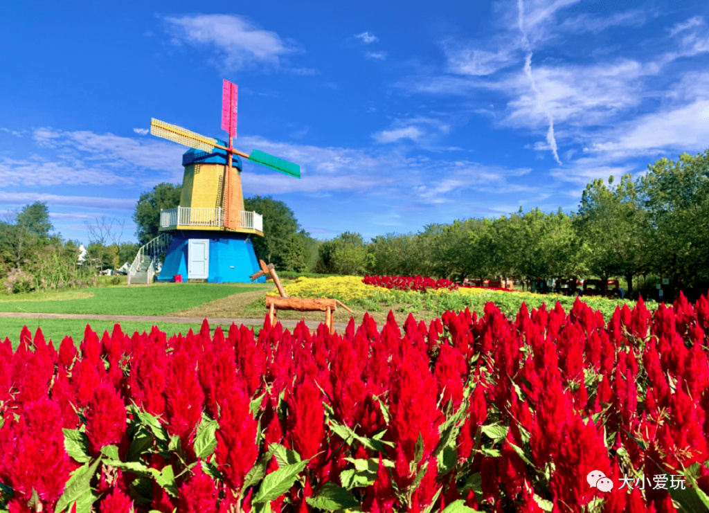适合三天两夜的自驾亲子旅游胜地 (6条不同的游览路线供游客自由选)
