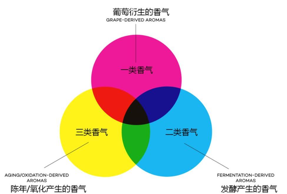 打破红酒玄学，用国人易懂的方式聊红酒篇一起源