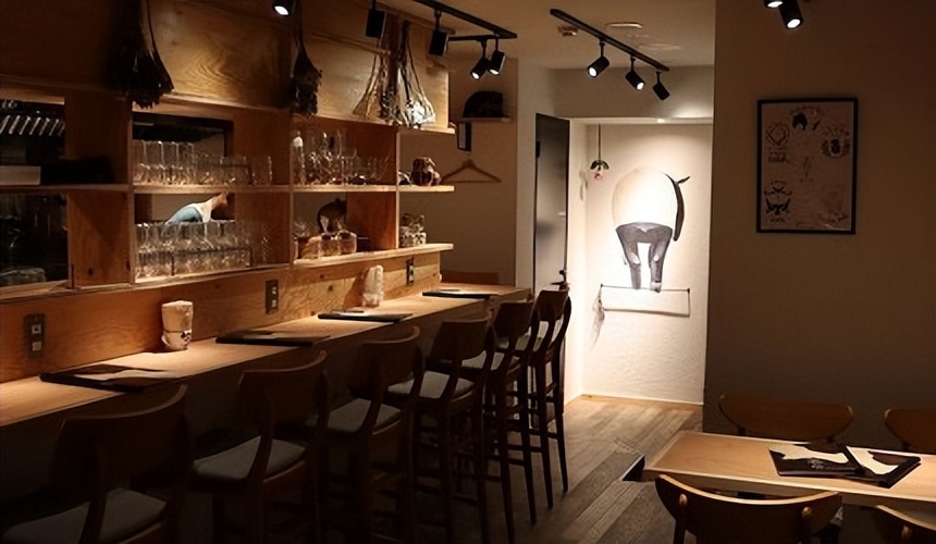 夜猫子消遣好去处,夜猫子晚上应该去哪玩